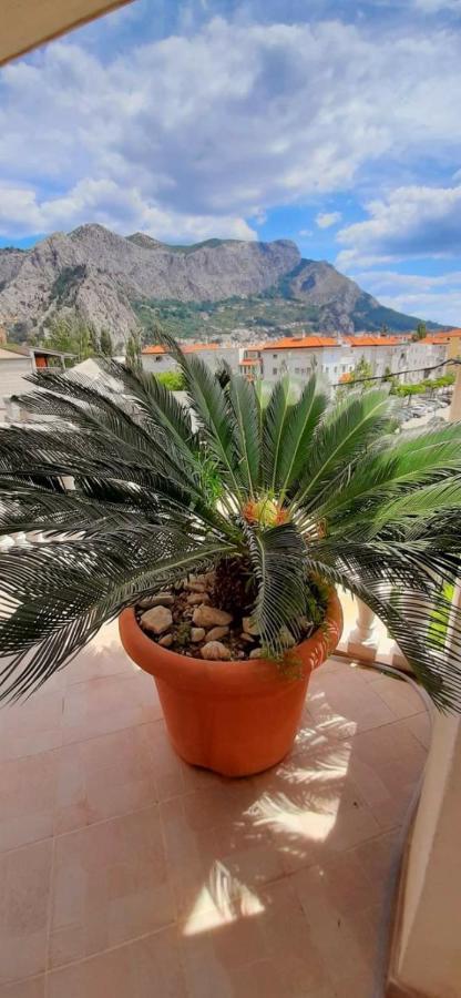 Apartmani Anita Omiš Exterior foto